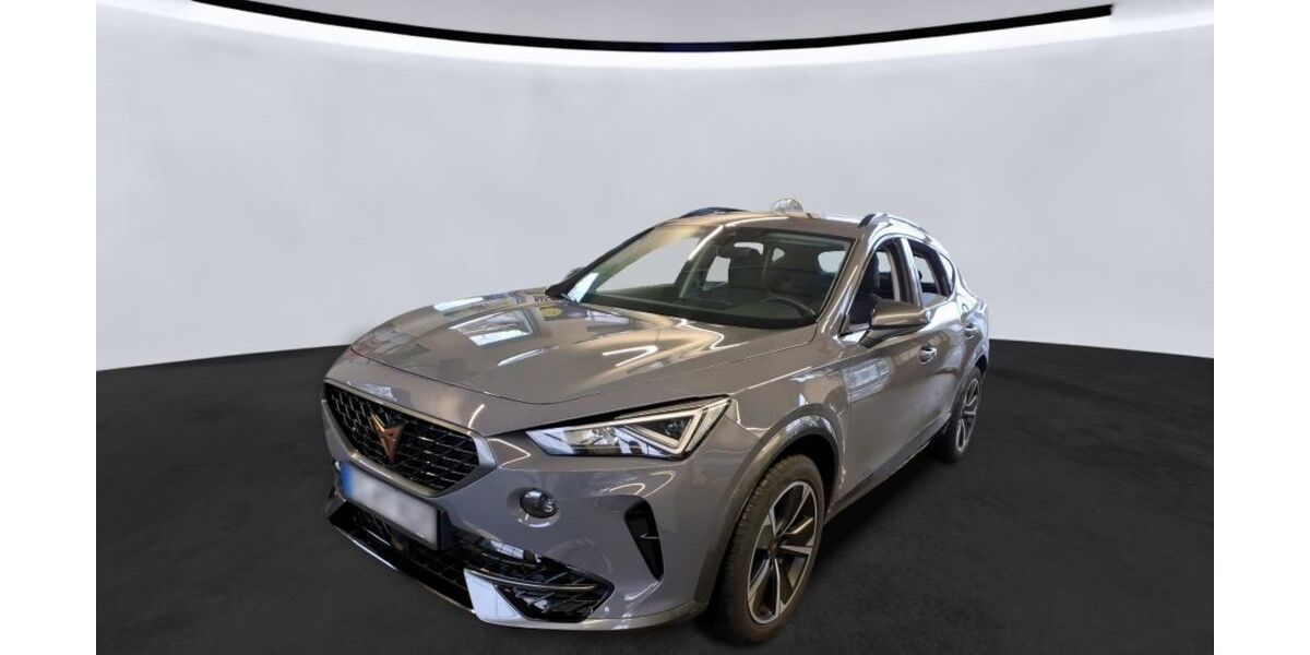 Cupra Formentor 48.800 km 21.890 &euro; Braunschweig 38114