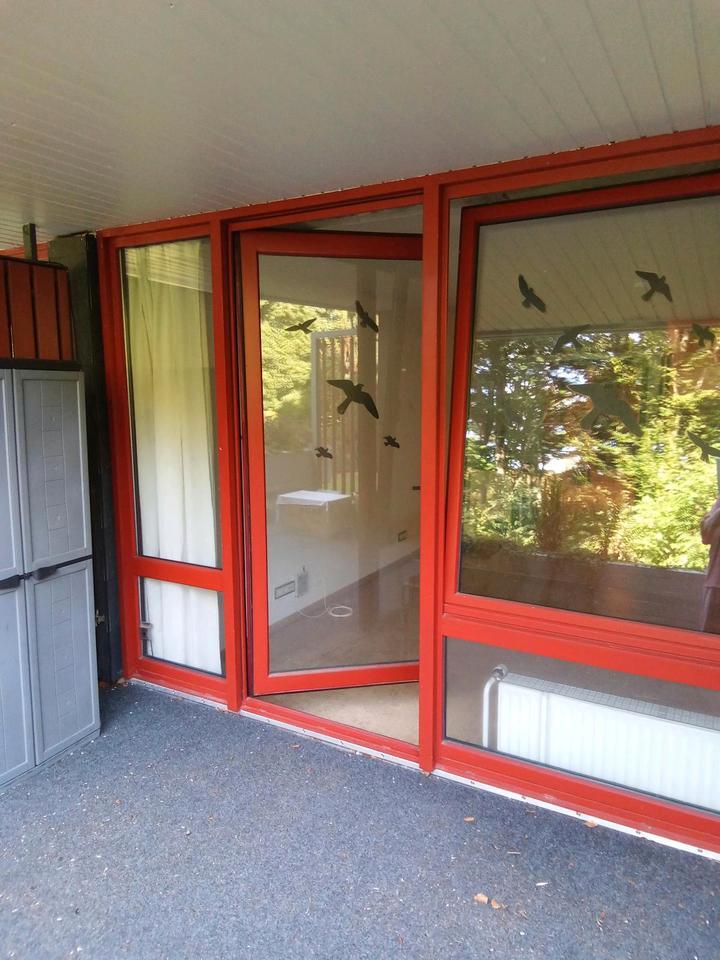 Wohnung in Rengsdorf