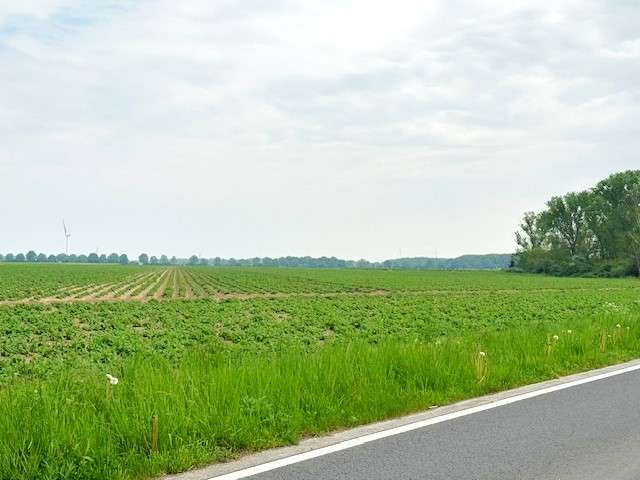 Grundstück in Brüggen -Born 189.000 € 19437 m²