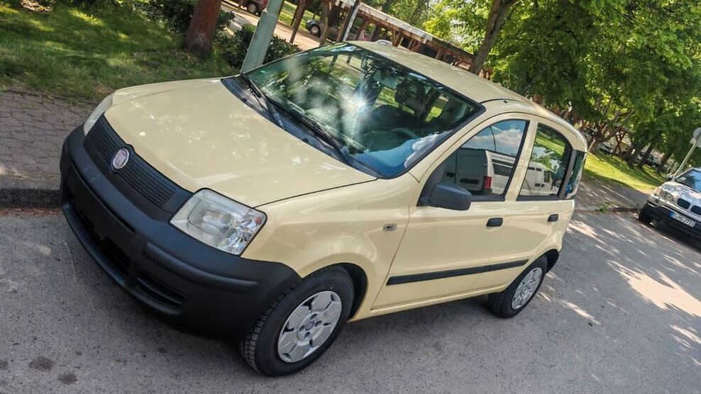 Panda