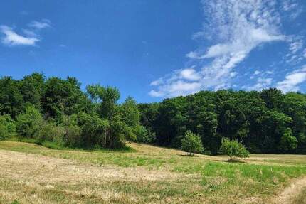 Wald und Ackerfläche zu verkaufen zimmer