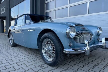 Austin Healey Andere