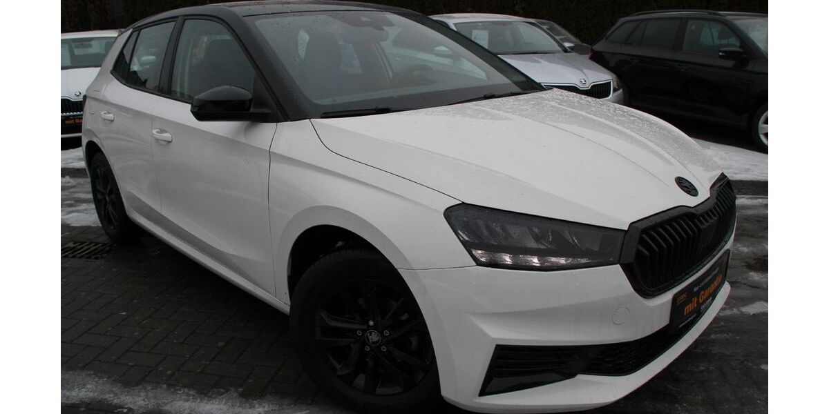 Skoda Fabia 17.532 km 14.990 &euro; Falkensee 14612