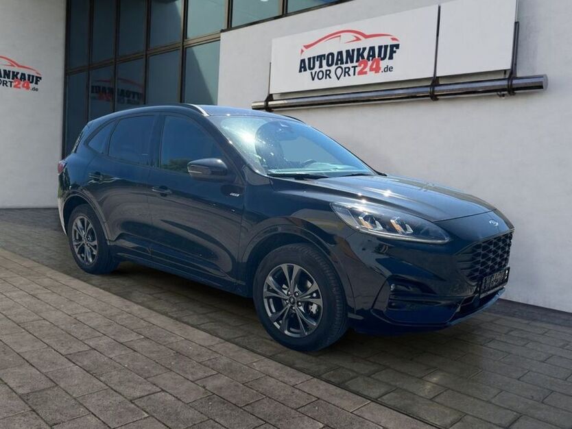 Kuga