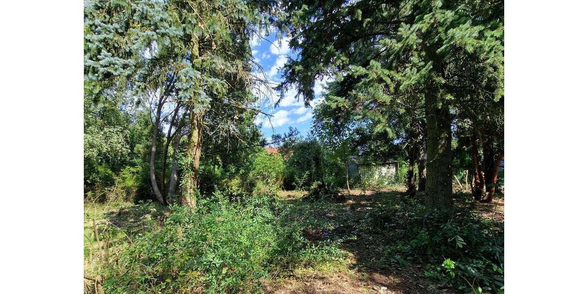 GRUNDSTÜCK - RUHIGE LAGE VON PETERSHAGENEGGERSDORF...... - Grundstück Petershagen/Eggersdorf Eggersdorf | Angebot:20209228