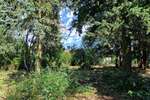 GRUNDSTÜCK - RUHIGE LAGE VON PETERSHAGENEGGERSDORF...... - Grundstück Petershagen/Eggersdorf Eggersdorf | Angebot:20209228