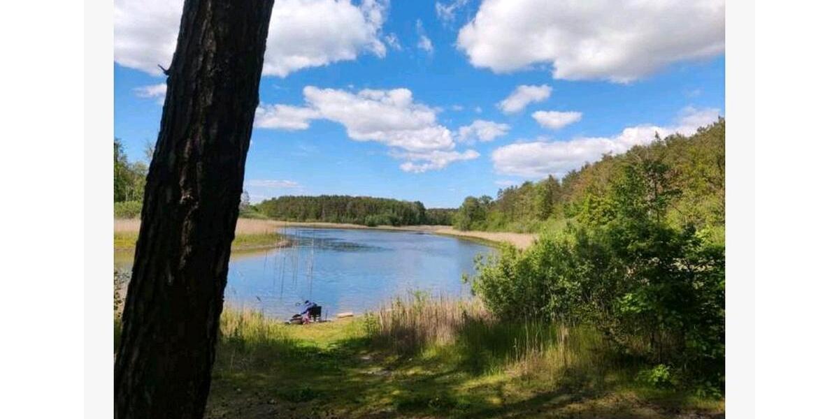 Etagenwohnung Beeskow - 4 Zimmer, 123 m&sup2;, 1.500&euro; | Angebot:25964427