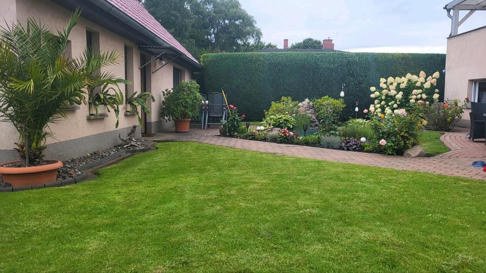 Einfamilienhaus mit Bungalow 4 zimmer