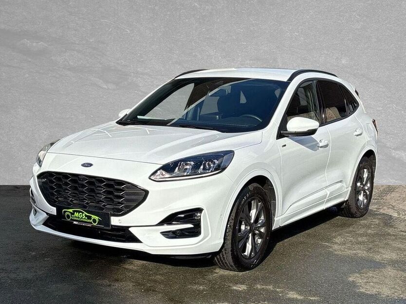Kuga