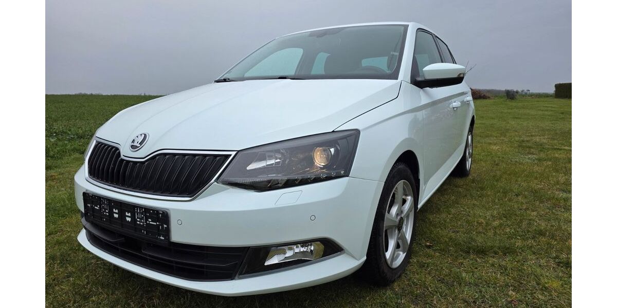 Skoda Fabia 74.500 km 9.900 &euro; Zeschdorf 15326