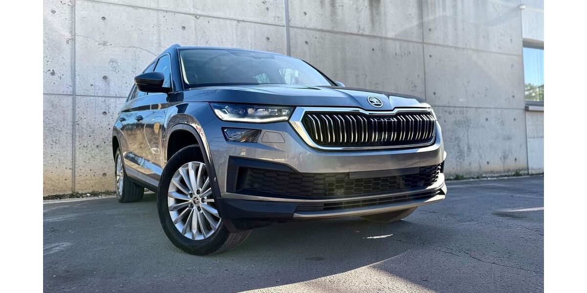 Skoda Kodiaq 156.378 km 22.999 &euro; Potsdam 14482
