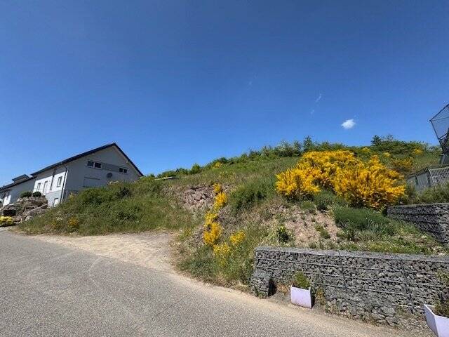 Einfamilienhaus Franzenheim - 5 Zimmer, 177 m&sup2;, 548.854&euro; | Angebot:25781358