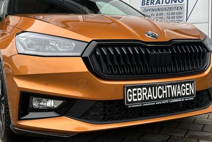 Skoda Fabia 16.400 km 23.990 &euro; Singen 78224