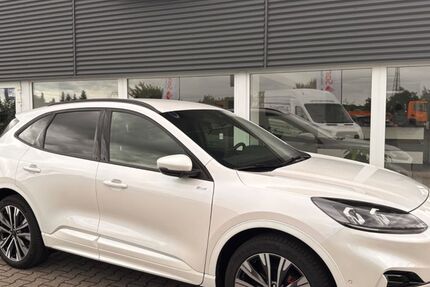 Ford Kuga 29.000 km 28.490 &euro; Torgelow 17358