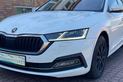 Skoda Octavia 289.505 km 11.499 &euro; Schönebeck/Elbe 39218