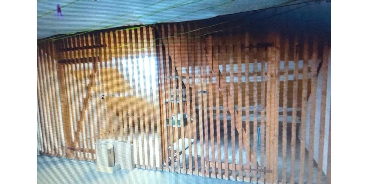 Etagenwohnung Siegen Dillnhütten - 4 Zimmer, 125 m&sup2;, 1.200&euro; | Angebot:26289253