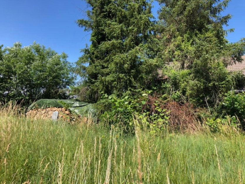 Traumhaftes Baugrundstück am Naturschutzgebiet - Ihr Paradies in Böhl-Iggelheim