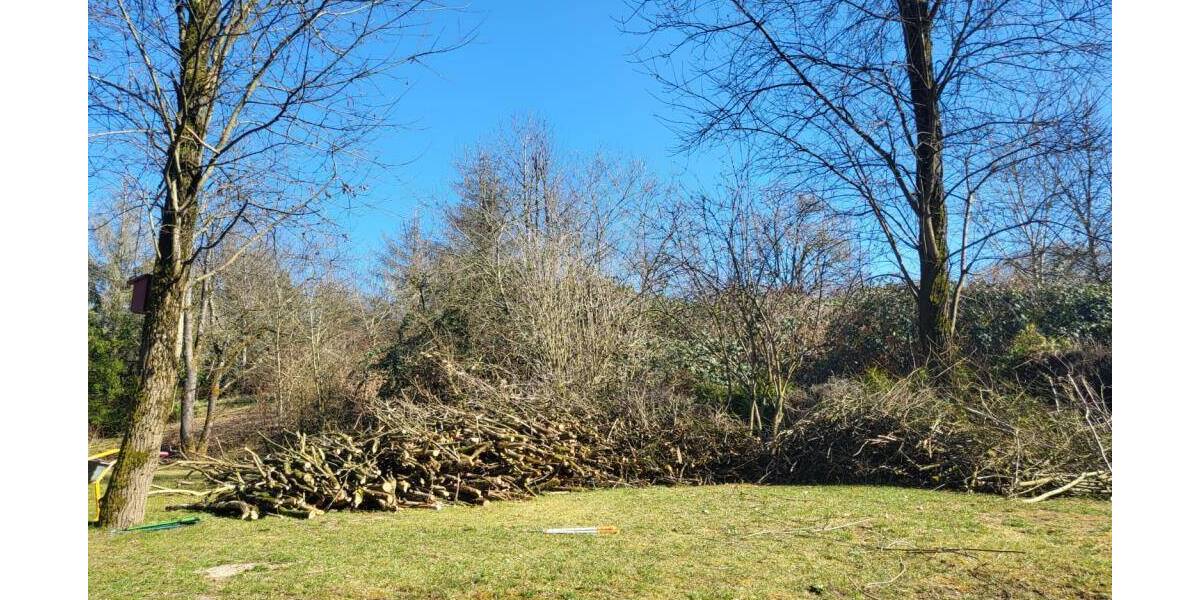 Grundstück Sonneberg Blechhammer - 24.000&euro; | Angebot:25985987