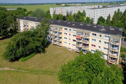 Wohnung zum Mieten in Wolgast 250 € 25 m²