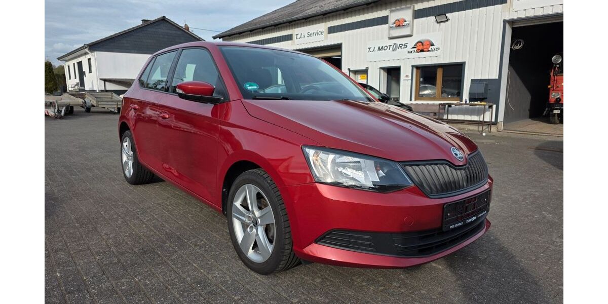 Skoda Fabia 160.000 km 5.999 &euro; Gösenroth 55624