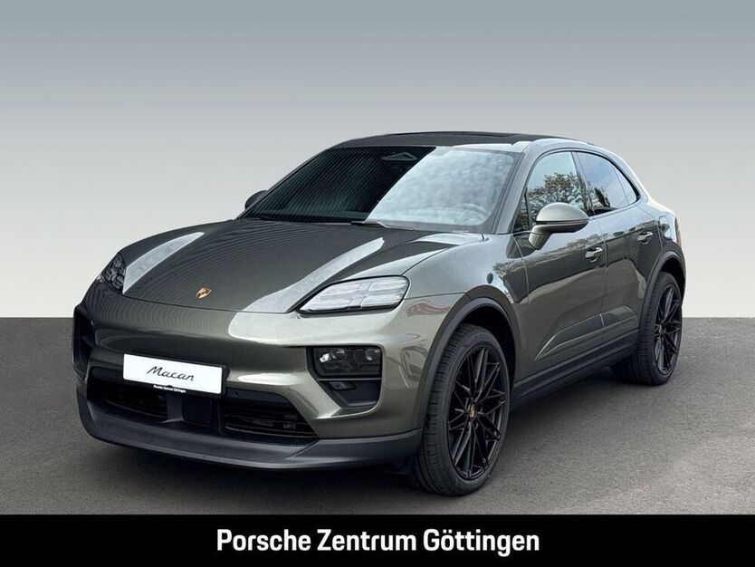 Macan