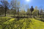 Hochparterre Clausthal-Zellerfeld Zellerfeld - 2 Zimmer, 58 m&sup2;, 52.000&euro; | Angebot:26396802