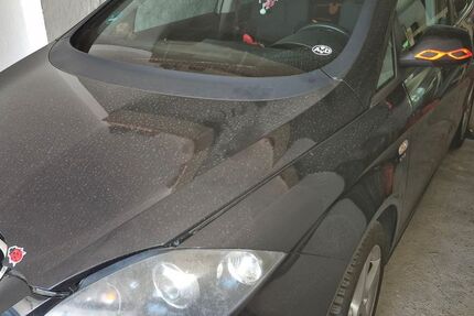 Seat Altea 110.000 km 8.000 &euro; Osterburg OT Flessau 39606