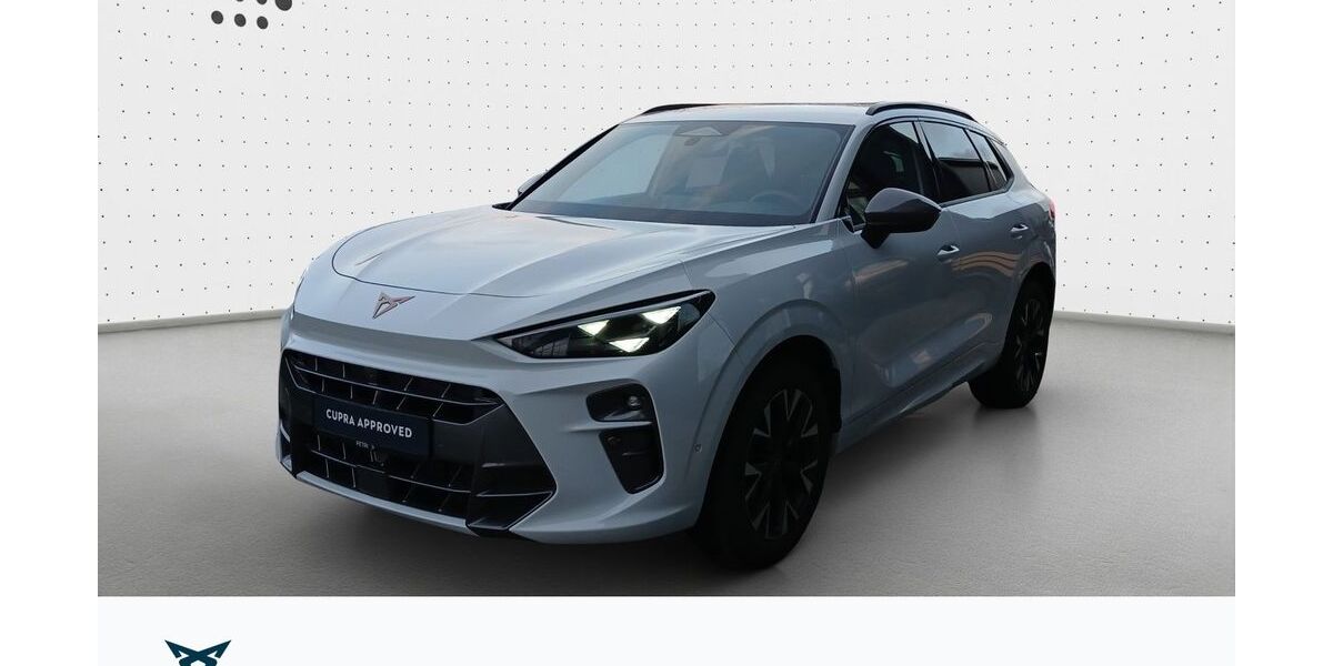 Cupra Terramar 21.913 km 33.160 &euro; Hofheim-Diedenbergen 65719