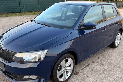 Skoda Fabia 89.000 km 9.190 &euro; Rathenow 14712