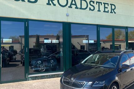 Skoda Octavia 118.650 km 15.790 &euro; Landau 76829