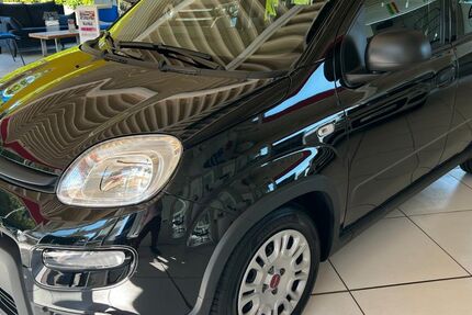 Fiat Panda 12.800 km 11.990 &euro; Iserlohn-Dröschede 58638