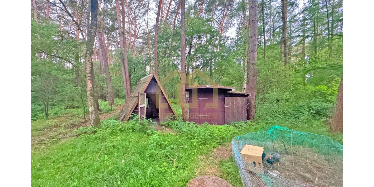 6.503 m² Naturparadies an der Hunte – Wochenendhaus in traumhafter Waldlage - Einfamilienhaus Wildeshausen | Angebot:26801669