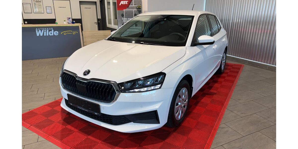 Skoda Fabia 38.342 km 12.300 &euro; Spelle 48480