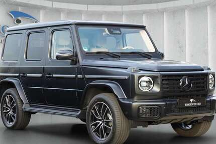 Mercedes-Benz G 450 4.191 km 187.000 € Schloß Holte-Stukenbrock 33758