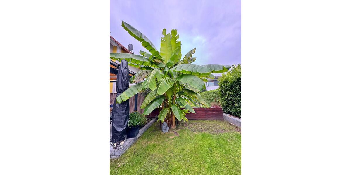 Doppelhaushälfte Bensheim - 5 Zimmer, 136 m&sup2;, 655.000&euro; | Angebot:26335703