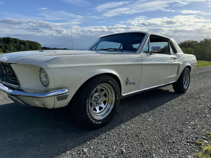 Mustang