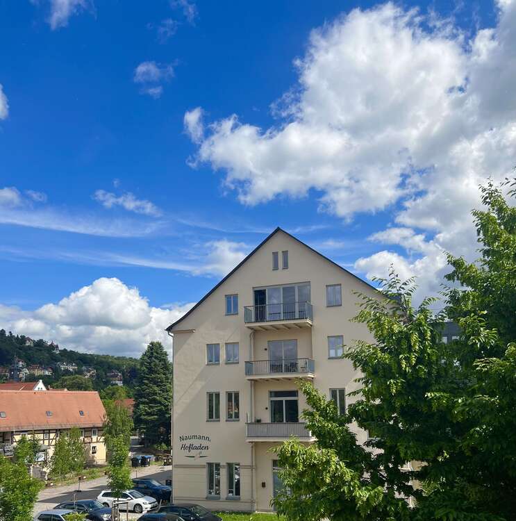 Wohnung zum Kaufen in Dresden 475.000 € 118 m²