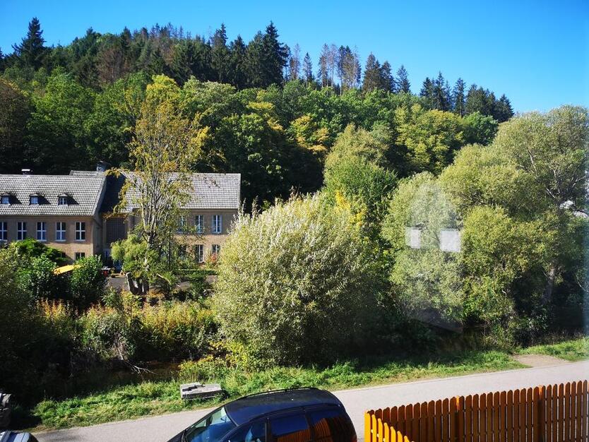 Wohnung in TOP LAGE - Oase in der Eifel - 4 Personen + 2 Hunde
