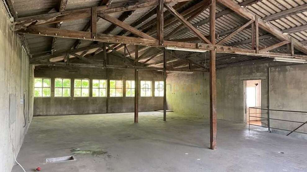 Halle in Marienfels 220 € 170 m²