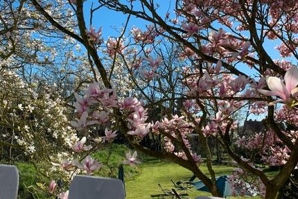 Wohnung Butjadingen - 1 Zimmer, 35 m&sup2;, 850&euro; | Angebot:24660297