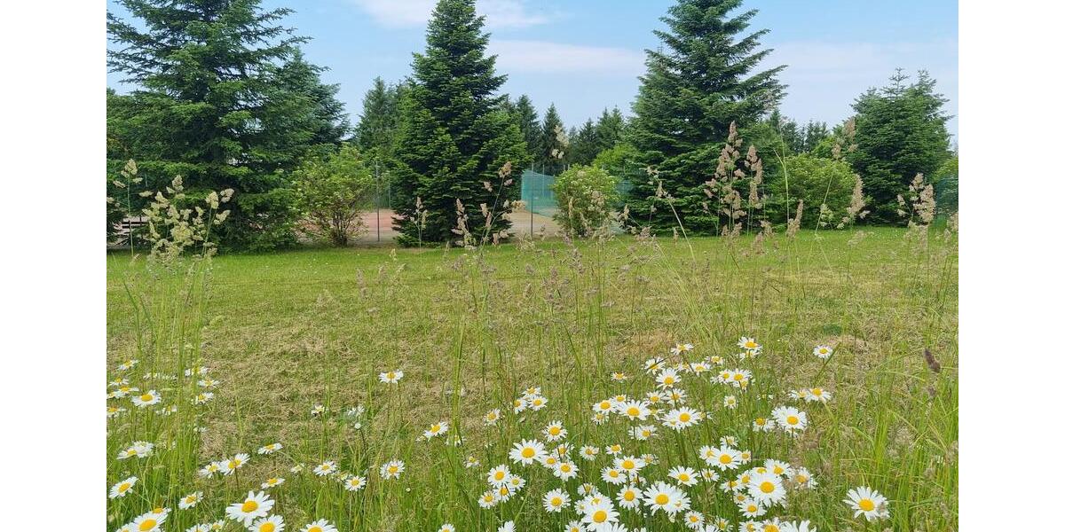 Ankommen und wohlfühlen ! Ihre gemütliche Singlewohnung im schönen Hayn-Jetzt mit 300€* Gutschein 1 zimmer