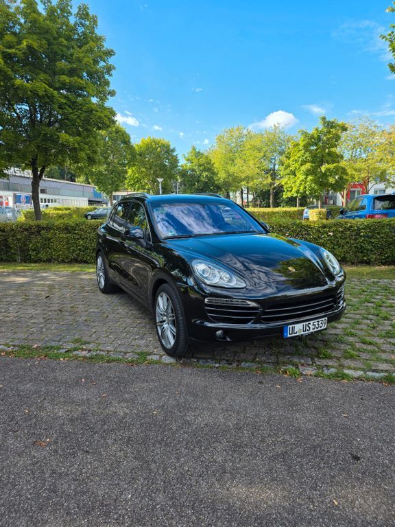 Cayenne