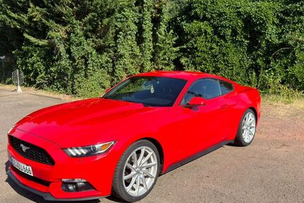 Ford Mustang 93.600 km 22.000 &euro; Saarbrücken 66121