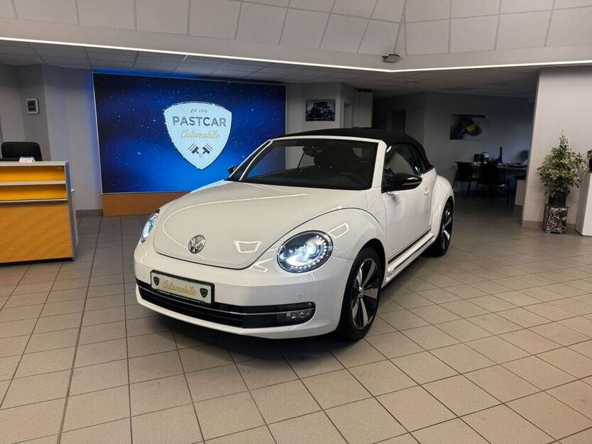 Beetle