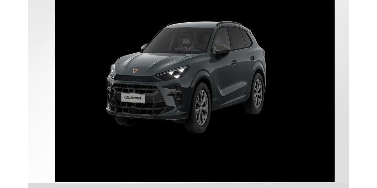 Cupra Terramar 15.000 km 40.990 &euro; Fürth 90763