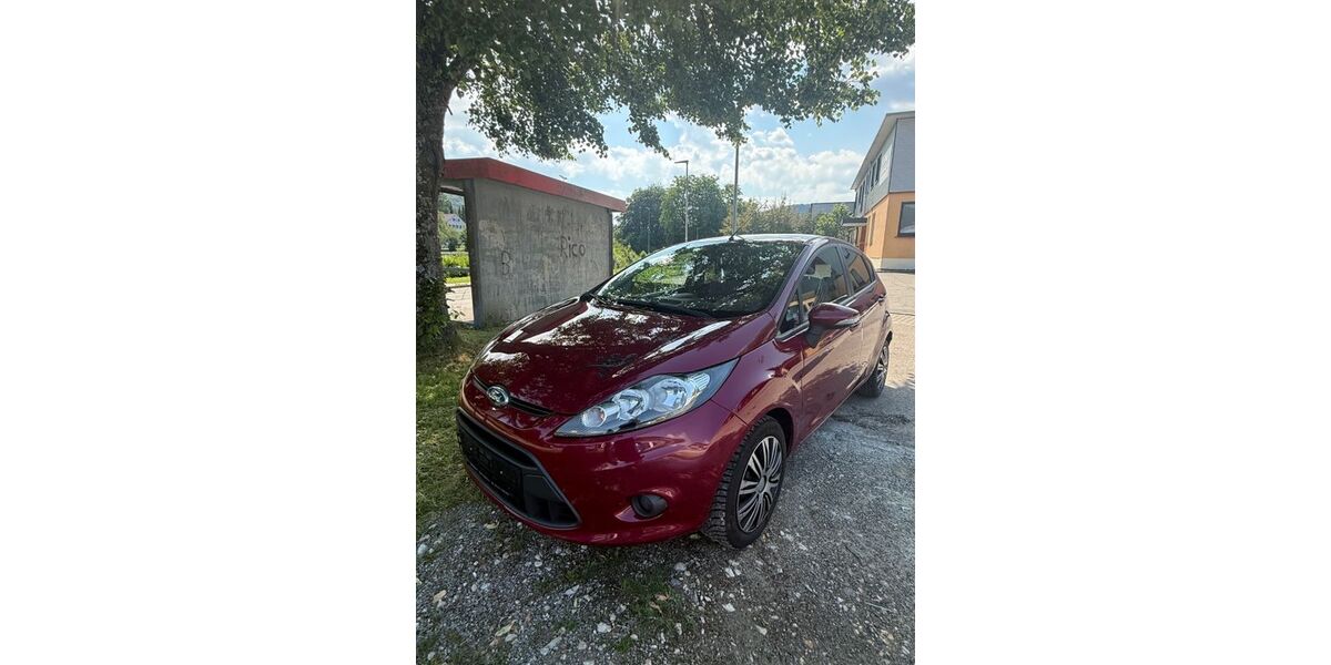 Ford Fiesta 94.933 km 3.300 &euro; Wehingen 78564