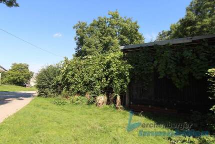***Grundstück mit Obstgarten und Schuppen Nähe LandauIsar*** zimmer