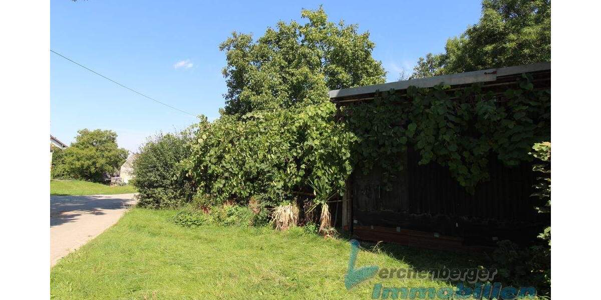 ***Grundstück mit Obstgarten und Schuppen Nähe LandauIsar*** zimmer