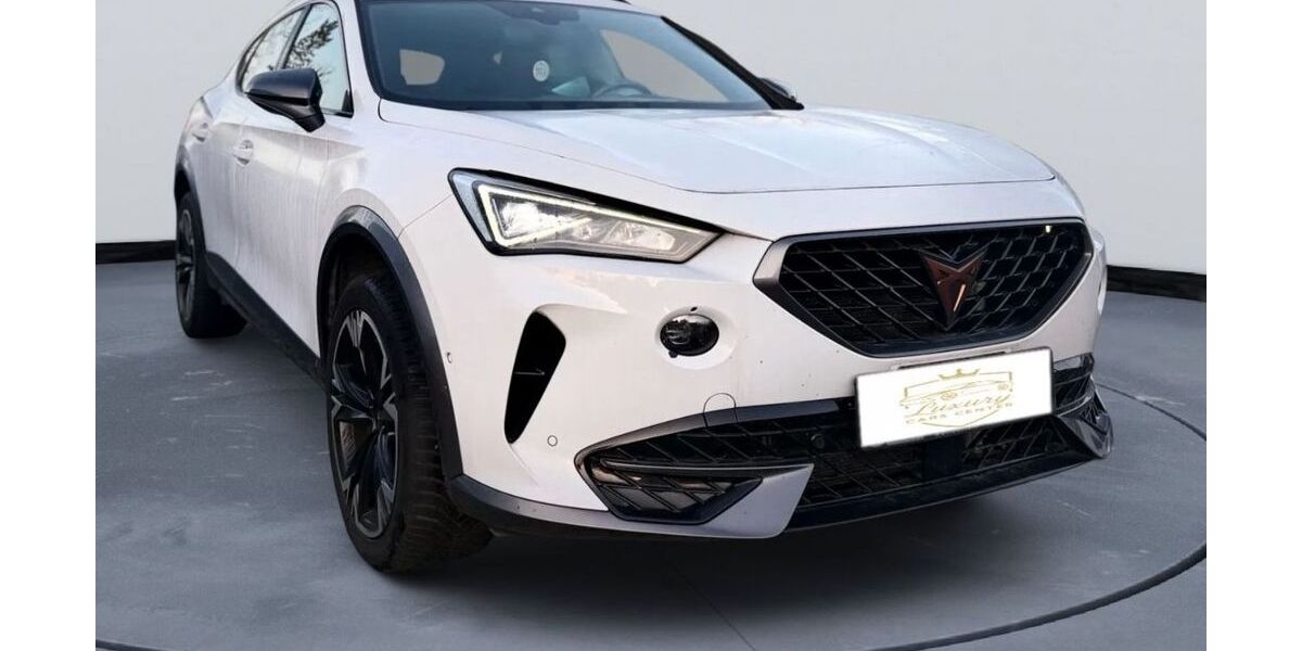 Cupra Formentor 157.935 km 19.800 &euro; Berlin 12277