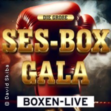 SES-BOX-GALA 22.11.2025 KRAFTVERKEHR in Chemnitz